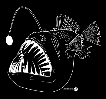 Anglerfish - background - 350x325